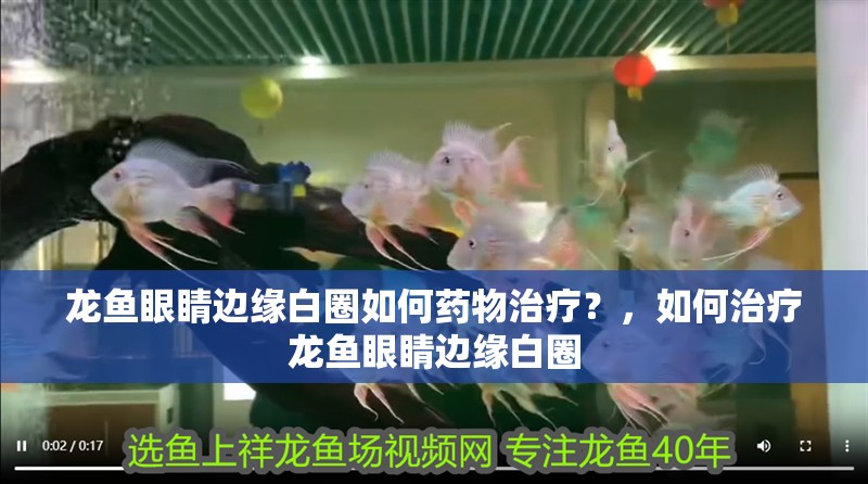 龍魚眼睛邊緣白圈如何藥物治療？，如何治療龍魚眼睛邊緣白圈