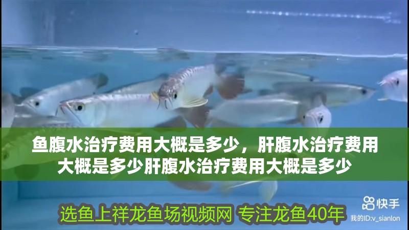 魚腹水治療費用大概是多少，肝腹水治療費用大概是多少肝腹水治療費用大概是多少