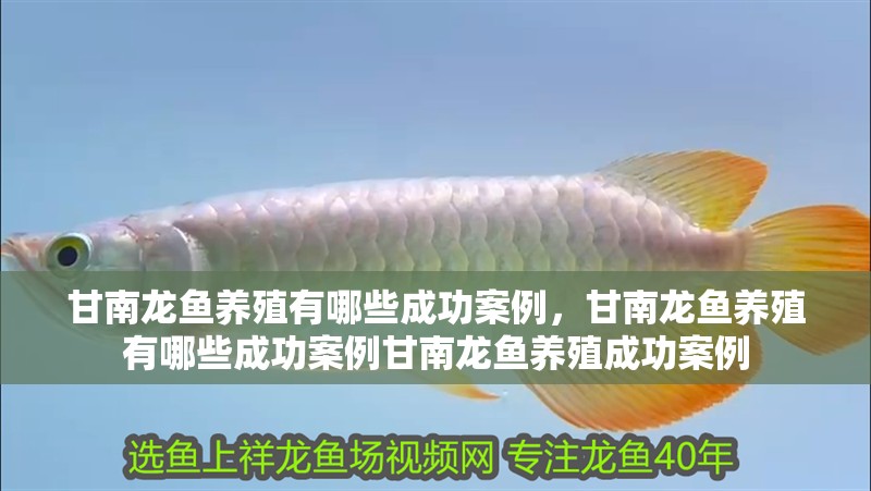 甘南龍魚養(yǎng)殖有哪些成功案例，甘南龍魚養(yǎng)殖有哪些成功案例甘南龍魚養(yǎng)殖成功案例