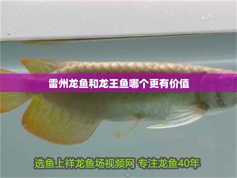 雷州龍魚和龍王魚哪個(gè)更有價(jià)值