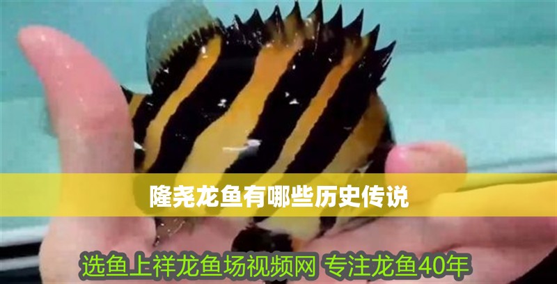 隆堯龍魚有哪些歷史傳說