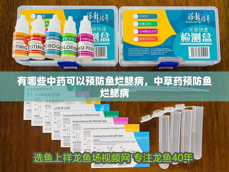 有哪些中藥可以預防魚爛鰓病，中草藥預防魚爛鰓病