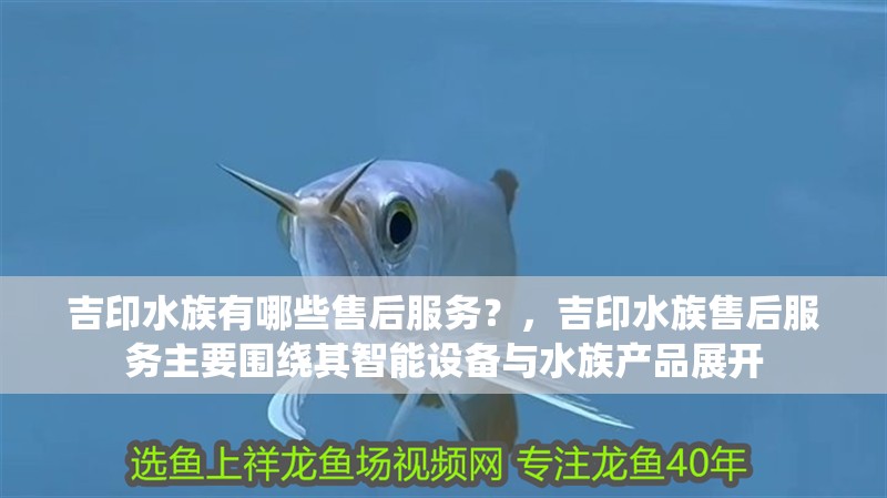 吉印水族有哪些售后服務？，吉印水族售后服務主要圍繞其智能設備與水族產品展開
