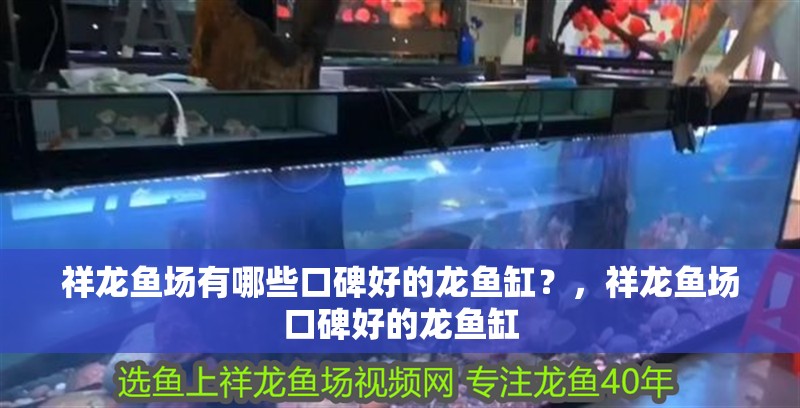 祥龍魚場有哪些口碑好的龍魚缸？，祥龍魚場口碑好的龍魚缸
