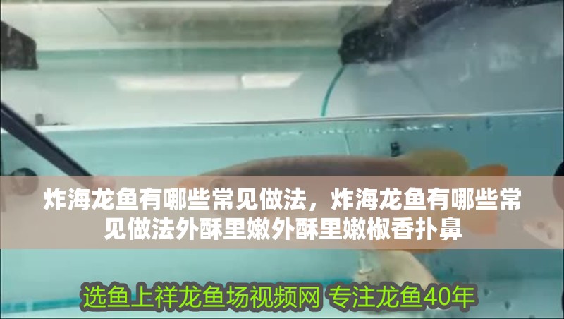 炸海龍魚有哪些常見做法，炸海龍魚有哪些常見做法外酥里嫩外酥里嫩椒香撲鼻