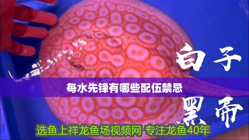 每水先鋒有哪些配伍禁忌