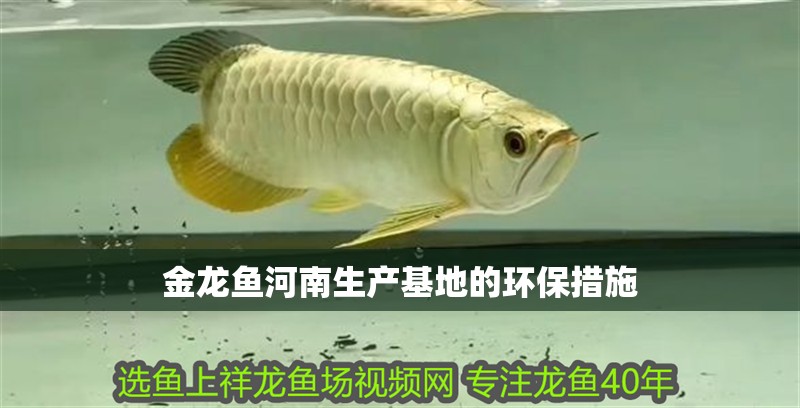 金龍魚(yú)河南生產(chǎn)基地的環(huán)保措施