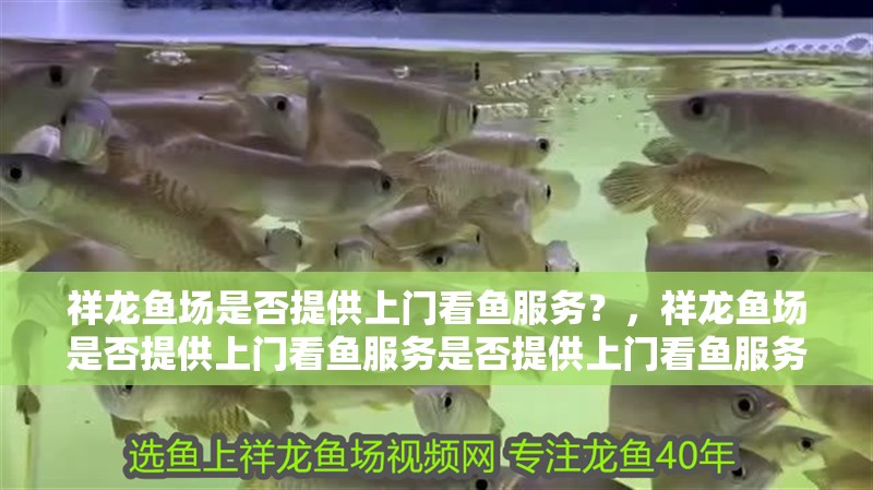 祥龍魚(yú)場(chǎng)是否提供上門(mén)看魚(yú)服務(wù)？，祥龍魚(yú)場(chǎng)是否提供上門(mén)看魚(yú)服務(wù)是否提供上門(mén)看魚(yú)服務(wù)