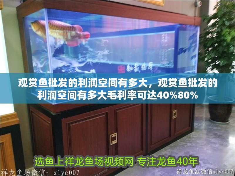 觀賞魚(yú)批發(fā)的利潤(rùn)空間有多大，觀賞魚(yú)批發(fā)的利潤(rùn)空間有多大毛利率可達(dá)40%80%