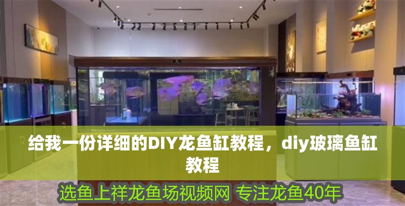 給我一份詳細的DIY龍魚缸教程，diy玻璃魚缸教程
