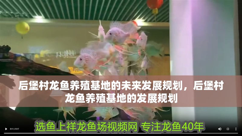 后堡村龍魚(yú)養(yǎng)殖基地的未來(lái)發(fā)展規(guī)劃，后堡村龍魚(yú)養(yǎng)殖基地的發(fā)展規(guī)劃