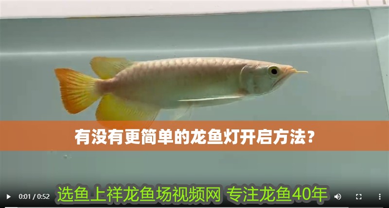 有沒有更簡單的龍魚燈開啟方法？