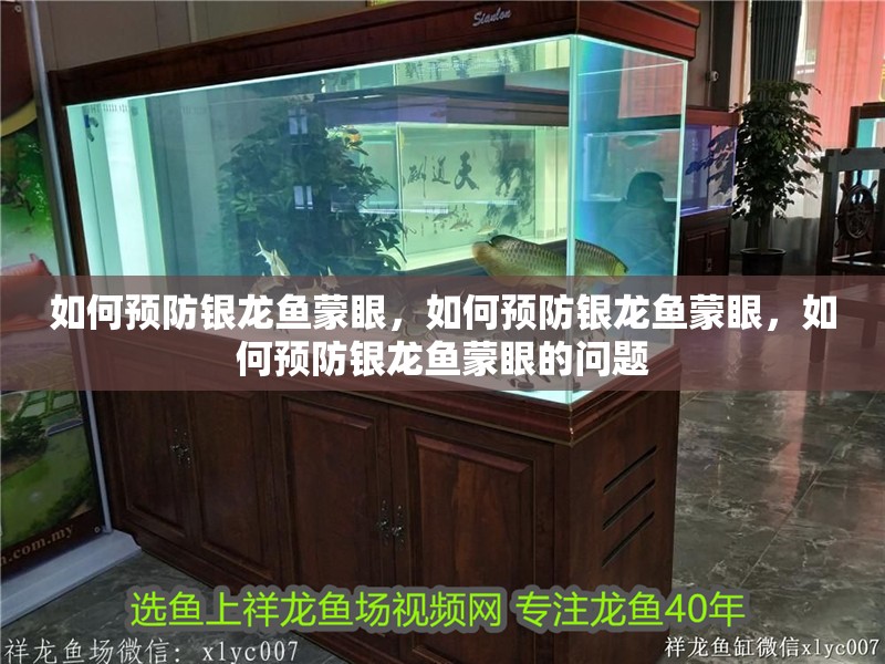 如何預防銀龍魚蒙眼，如何預防銀龍魚蒙眼，如何預防銀龍魚蒙眼的問題