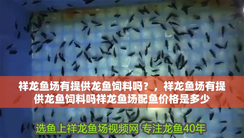 祥龍魚場有提供龍魚飼料嗎？，祥龍魚場有提供龍魚飼料嗎祥龍魚場配魚價格是多少