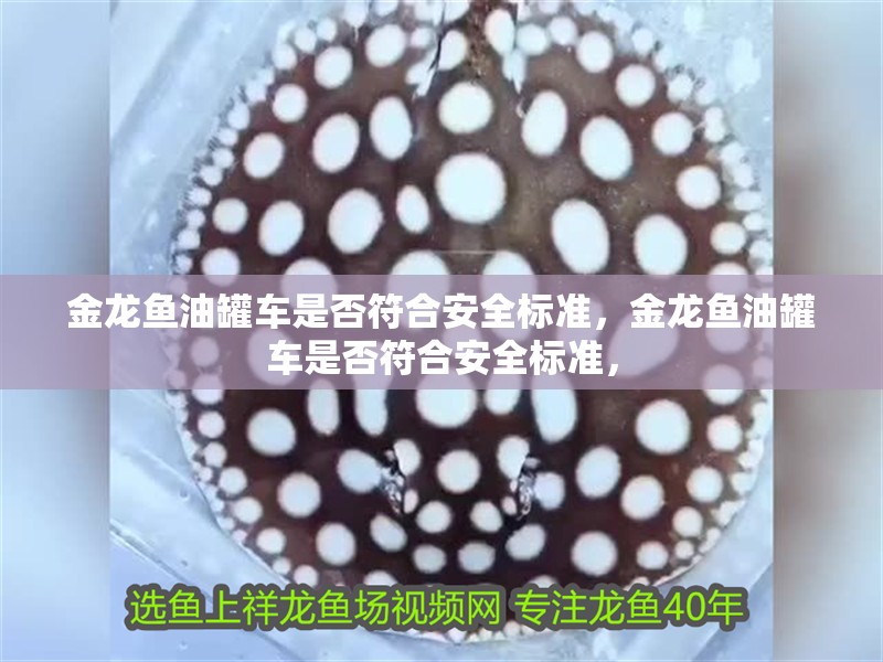 金龍魚油罐車是否符合安全標準，金龍魚油罐車是否符合安全標準，