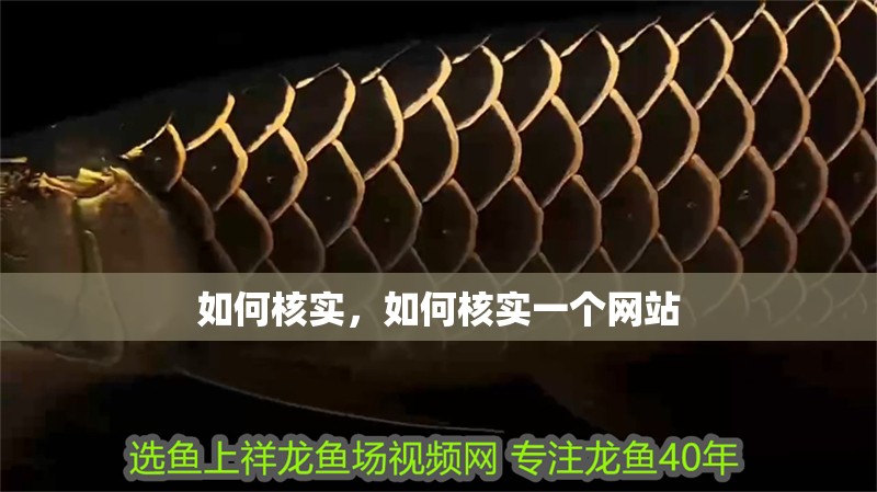 如何核實，如何核實一個網站
