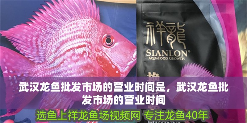 武漢龍魚批發市場的營業時間是，武漢龍魚批發市場的營業時間