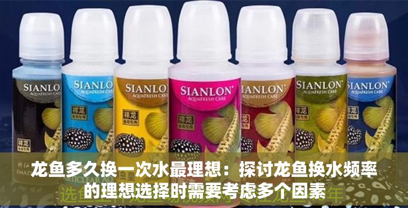 龍魚多久換一次水最理想：探討龍魚換水頻率的理想選擇時需要考慮多個因素