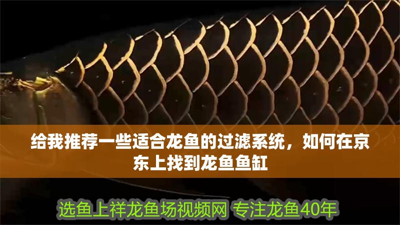 給我推薦一些適合龍魚的過濾系統(tǒng)，如何在京東上找到龍魚魚缸