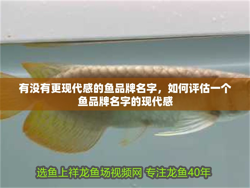 有沒(méi)有更現(xiàn)代感的魚(yú)品牌名字，如何評(píng)估一個(gè)魚(yú)品牌名字的現(xiàn)代感