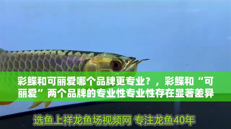 彩鰈和可麗愛哪個品牌更專業(yè)？，彩鰈和“可麗愛”兩個品牌的專業(yè)性專業(yè)性存在顯著差異