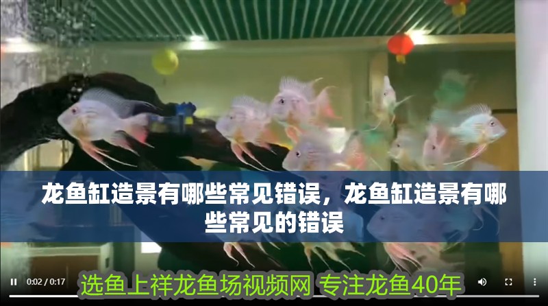 龍魚缸造景有哪些常見錯(cuò)誤，龍魚缸造景有哪些常見的錯(cuò)誤