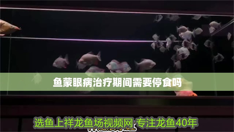 魚(yú)蒙眼病治療期間需要停食嗎