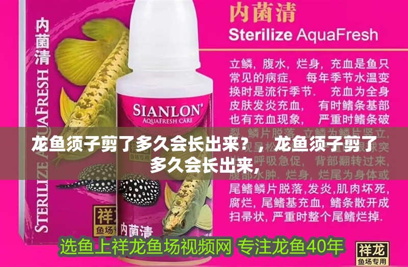 龍魚須子剪了多久會(huì)長出來？，龍魚須子剪了多久會(huì)長出來,