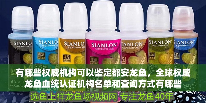 有哪些權威機構可以鑒定都安龍魚，全球權威龍魚血統(tǒng)認證機構名單和查詢方式有哪些