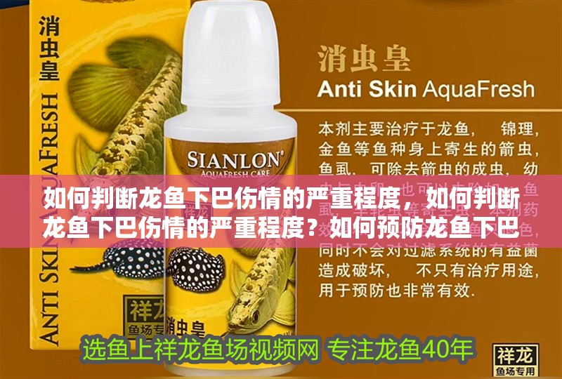 如何判斷龍魚下巴傷情的嚴重程度，如何判斷龍魚下巴傷情的嚴重程度？如何預防龍魚下巴受傷？