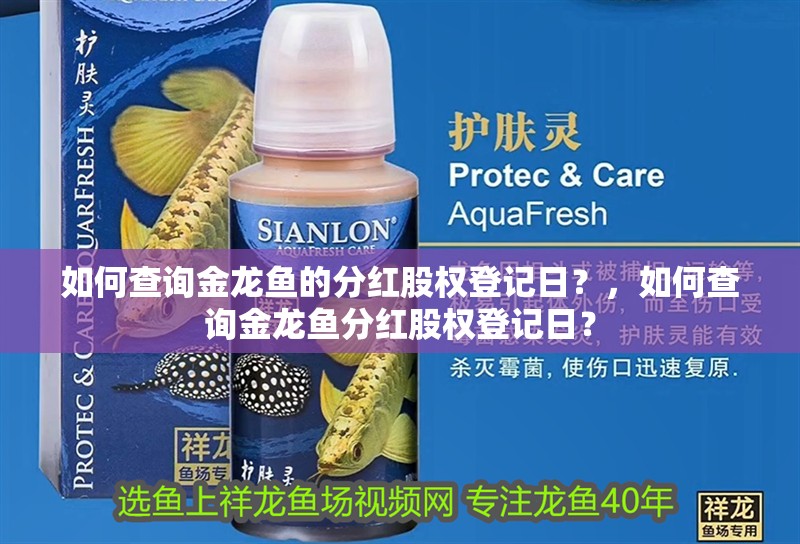 如何查詢金龍魚的分紅股權登記日？，如何查詢金龍魚分紅股權登記日？