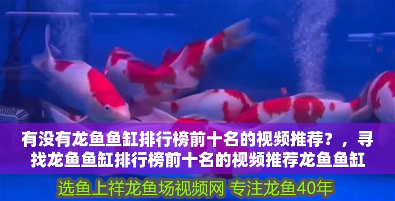 有沒有龍魚魚缸排行榜前十名的視頻推薦？，尋找龍魚魚缸排行榜前十名的視頻推薦龍魚魚缸排行榜前十名