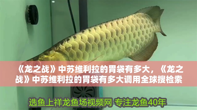 《龍之戰》中蘇維利拉的胃袋有多大，《龍之戰》中蘇維利拉的胃袋有多大調用全球搜檢索14篇資料