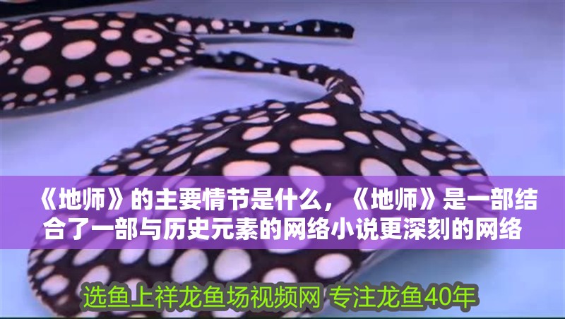 《地師》的主要情節(jié)是什么，《地師》是一部結(jié)合了一部與歷史元素的網(wǎng)絡(luò)小說更深刻的網(wǎng)絡(luò)小說