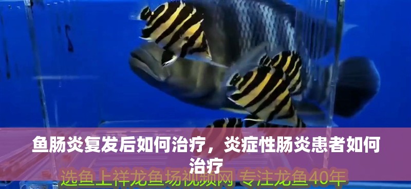 魚腸炎復(fù)發(fā)后如何治療，炎癥性腸炎患者如何治療