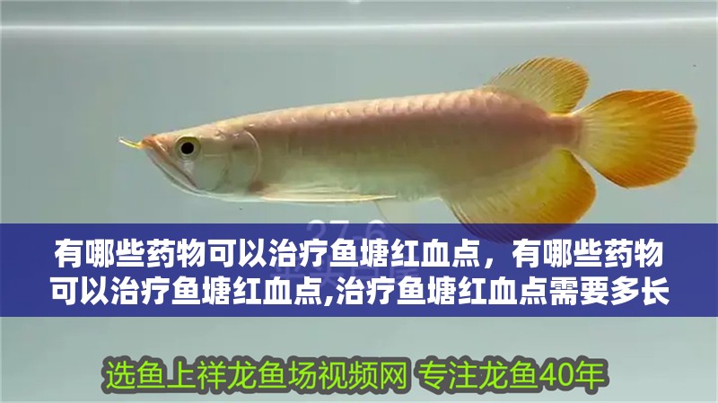 有哪些藥物可以治療魚塘紅血點，有哪些藥物可以治療魚塘紅血點,治療魚塘紅血點需要多長時間見效