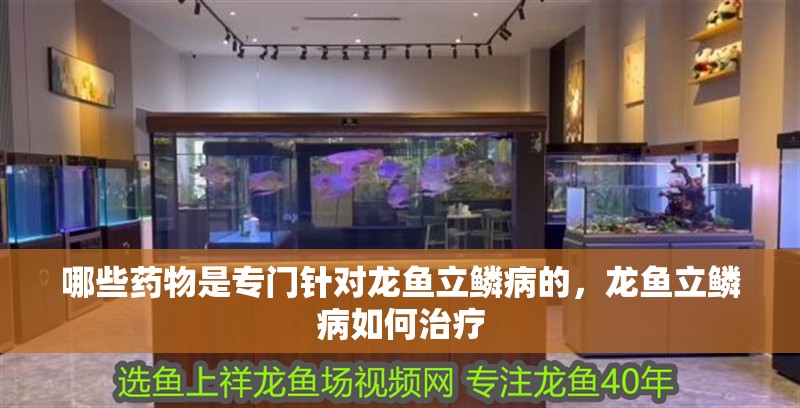 哪些藥物是專(zhuān)門(mén)針對(duì)龍魚(yú)立鱗病的，龍魚(yú)立鱗病如何治療