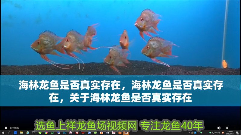 海林龍魚是否真實存在，海林龍魚是否真實存在，關于海林龍魚是否真實存在