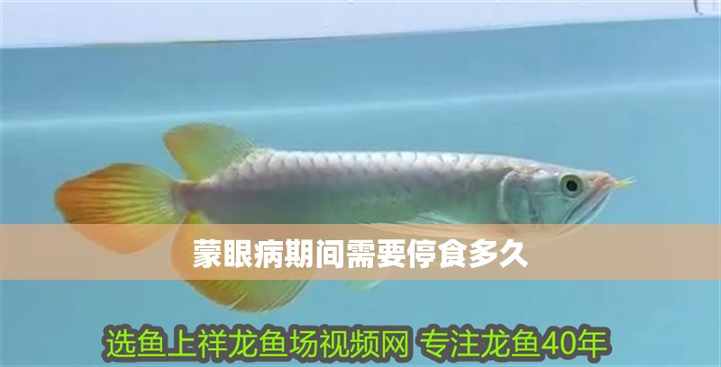 蒙眼病期間需要停食多久