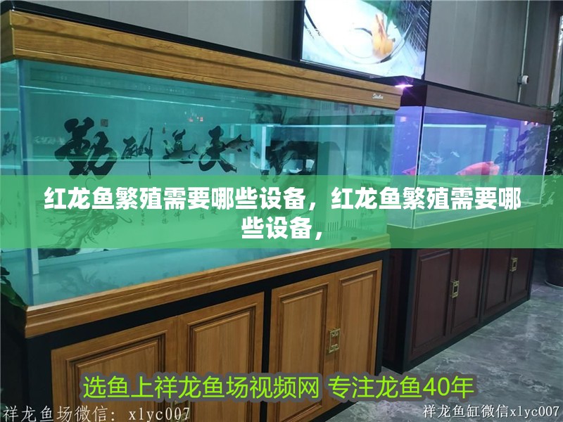 紅龍魚繁殖需要哪些設備，紅龍魚繁殖需要哪些設備，
