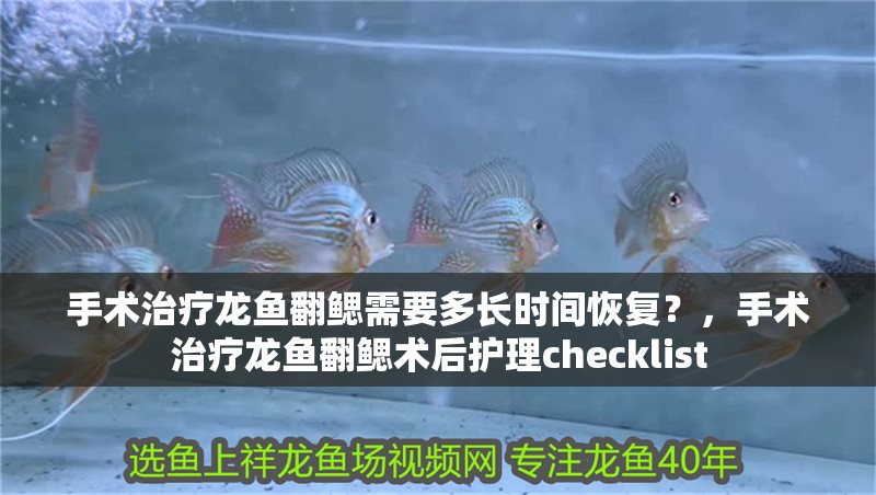 手術治療龍魚翻鰓需要多長時間恢復？，手術治療龍魚翻鰓術后護理checklist