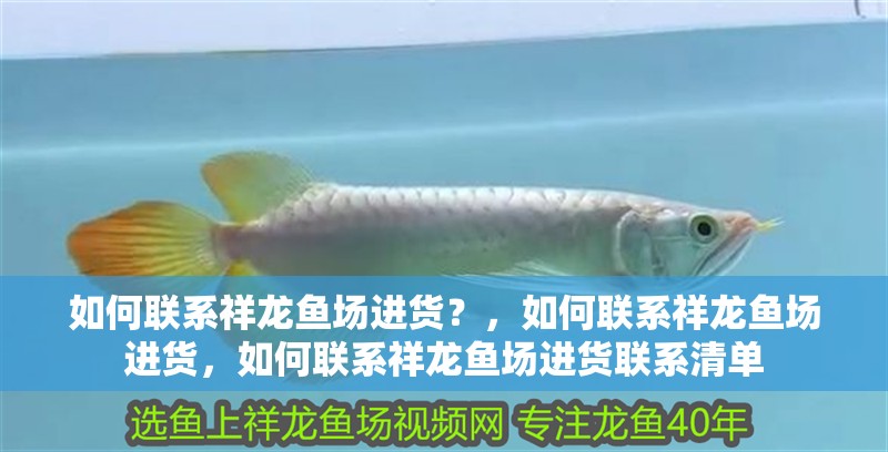 如何聯系祥龍魚場進貨？，如何聯系祥龍魚場進貨，如何聯系祥龍魚場進貨聯系清單