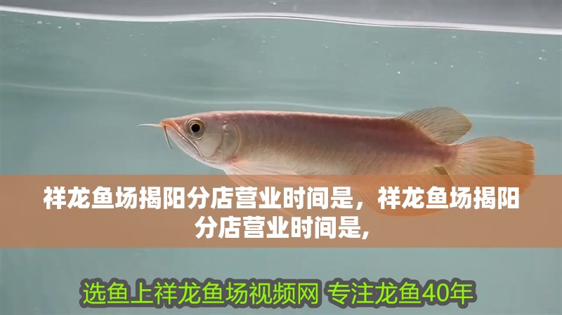 祥龍魚場揭陽分店營業時間是，祥龍魚場揭陽分店營業時間是,