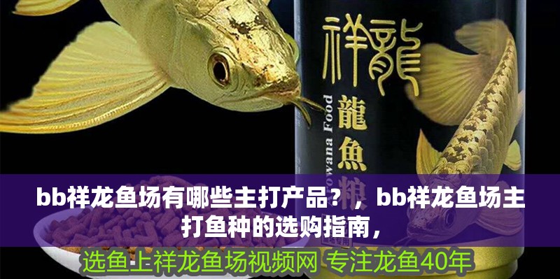 bb祥龍魚場有哪些主打產品？，bb祥龍魚場主打魚種的選購指南，