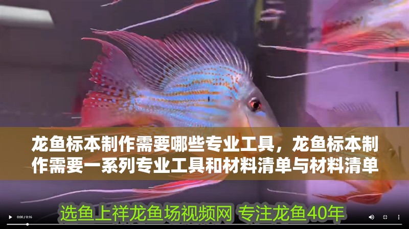 龍魚(yú)標(biāo)本制作需要哪些專(zhuān)業(yè)工具，龍魚(yú)標(biāo)本制作需要一系列專(zhuān)業(yè)工具和材料清單與材料清單