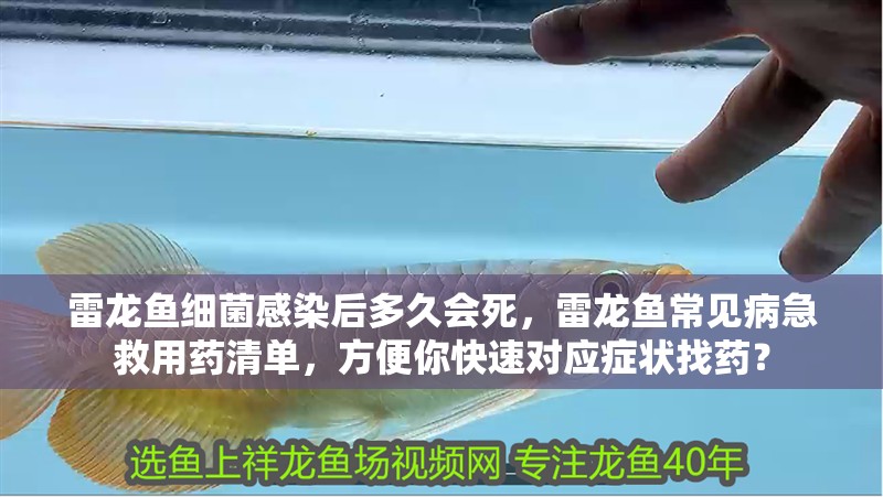 雷龍魚細菌感染后多久會死，雷龍魚常見病急救用藥清單，方便你快速對應癥狀找藥？