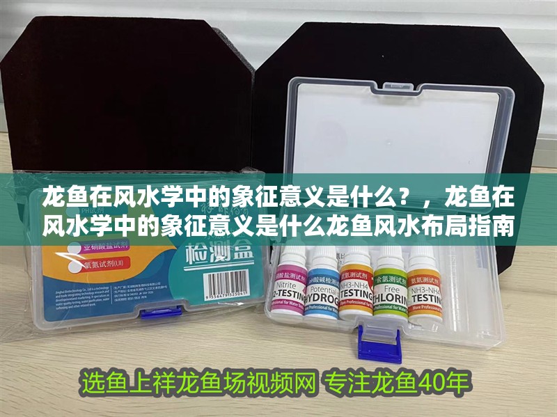 龍魚在風(fēng)水學(xué)中的象征意義是什么？，龍魚在風(fēng)水學(xué)中的象征意義是什么龍魚風(fēng)水布局指南