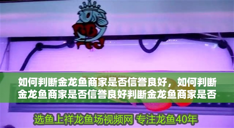 如何判斷金龍魚商家是否信譽(yù)良好，如何判斷金龍魚商家是否信譽(yù)良好判斷金龍魚商家是否信譽(yù)良好