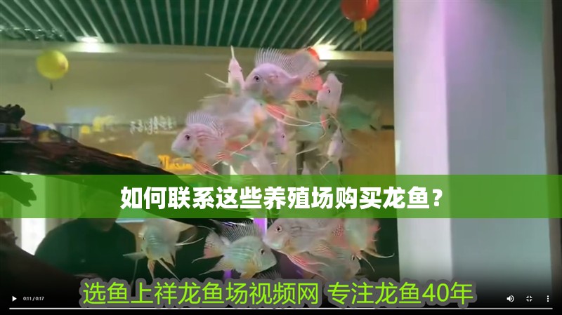 如何聯(lián)系這些養(yǎng)殖場(chǎng)購(gòu)買龍魚？