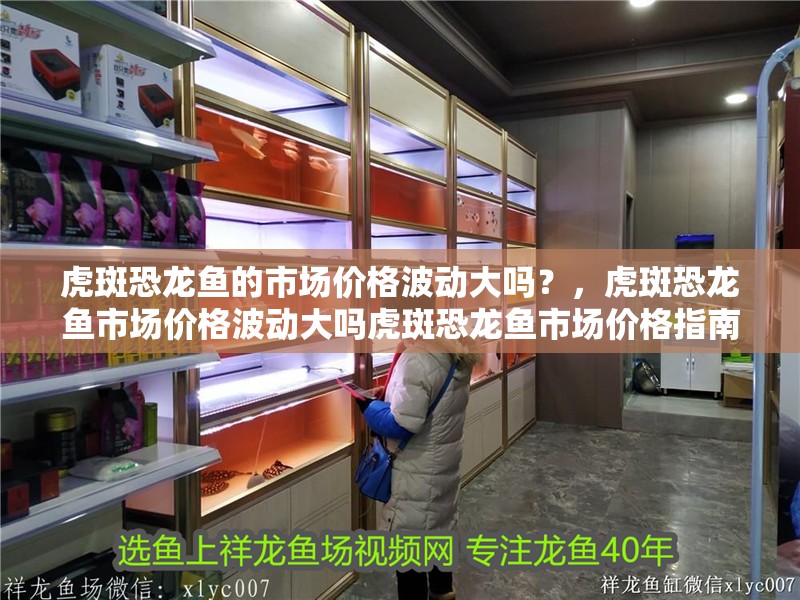 虎斑恐龍魚的市場價格波動大嗎？，虎斑恐龍魚市場價格波動大嗎虎斑恐龍魚市場價格指南